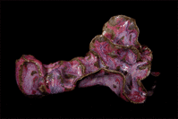 Ld p d 15 12 00130